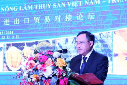 Ông Lương Trọng Quỳnh, Phó Chủ tịch UBND tỉnh Lạng Sơn phát biểu tại diễn đàn.