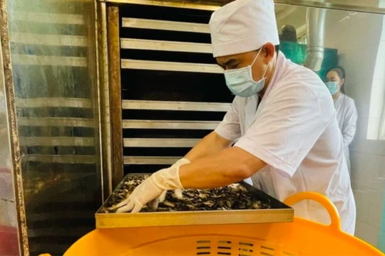 Lạng Sơn đặt mục tiêu phát triển nguồn nhân lực và nghiên cứu khoa học có trình độ chuyên môn cao cả về y học cổ truyền.