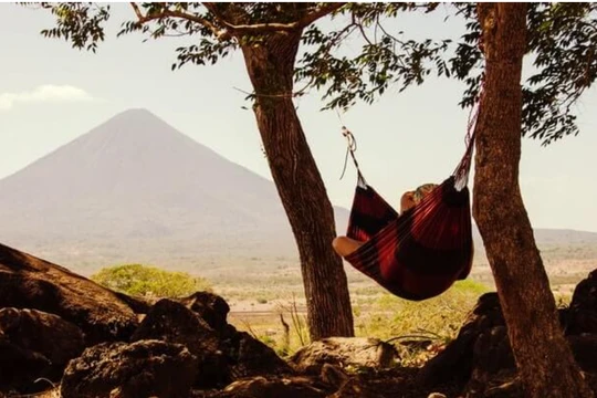 Ảnh: TRG International