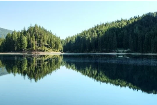 Ảnh: TRG International