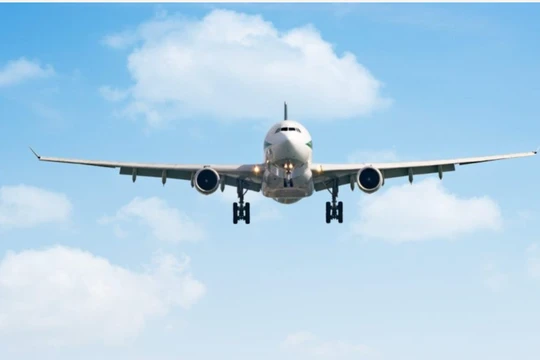 Ảnh: Transport & Enviroment