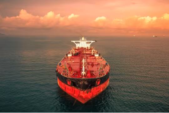 Ảnh: Oddity Central