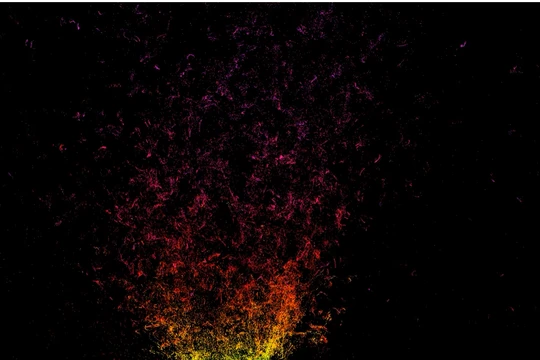 Ảnh: The New York Times