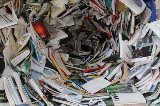 Ảnh: TRG International