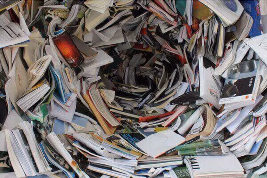 Ảnh: TRG International