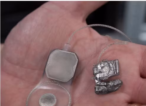 Ảnh: The University Of Sidney