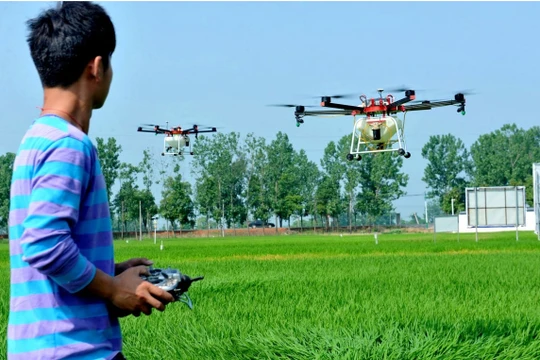 Thượng Hải đã công bố kế hoạch xây dựng các trang trại không người lái ở vùng ngoại ô, được thực hiện nhờ các công nghệ mới như máy bay không người lái nông nghiệp (Ảnh: AFP)