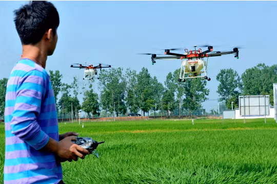 Thượng Hải đã công bố kế hoạch xây dựng các trang trại không người lái ở vùng ngoại ô, được thực hiện nhờ các công nghệ mới như máy bay không người lái nông nghiệp (Ảnh: AFP)