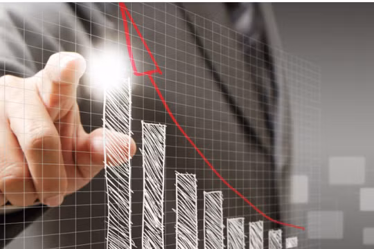 Ảnh: TRG International