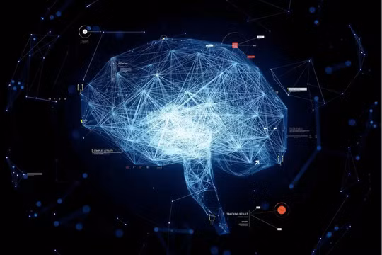 Ảnh: Business Insider