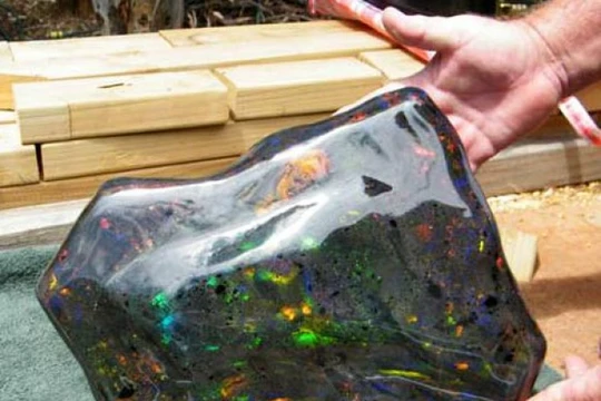 Ảnh minh họa (Bright Side)