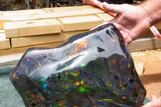 Ảnh minh họa (Bright Side)