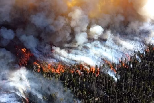 Ảnh minh họa: Ecowatch