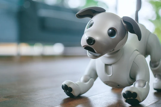 Ảnh minh họa (Tech Radar)