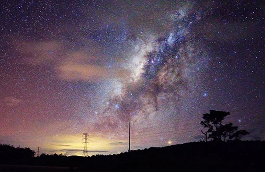 ảnh minh họa: Science Alert