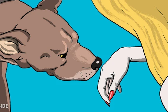 Ảnh minh họa. Nguồn: Bright Side