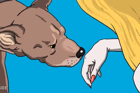 Ảnh minh họa. Nguồn: Bright Side