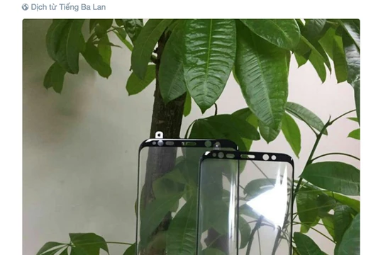 Xuất hiện mặt kính Galaxy S8 với nhiều chi tiết mới