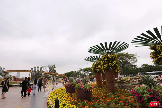 UBND TP Đà Nẵng vừa có chỉ đạo ngăn chặn sự xuất hiện trở lại của tình trạng người lang thang xin ăn, xin ăn biến tướng, bán hàng rong đeo bám chèo kéo khách tại các khu danh lam thắng cảnh, các điểm du lịch để người dân và du khách vui xuân, đón Tết