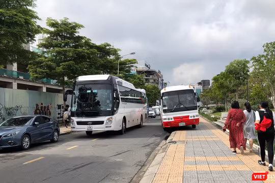 Từ ngày 1/8, Đà Nẵng sẽ tiến hành xử phạt các trường hợp xe chở khách trên 16 chỗ đậu đỗ tại một số tuyến đường trung tâm TP.