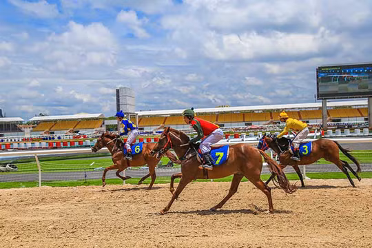 Đà Nẵng đang tìm vị trí để xúc tiến đầu tư Dự án Trường đua ngựa trị giá 200 triệu USD (ảnh http://sporttotovietnam.com)