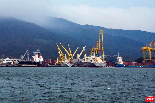 Việc xác định giá trị quyền sử dụng đất để tính vào giá trị doanh nghiệp khi cổ phần hóa tại Công ty TNHH MTV cảng Đà Nẵng đối với thửa đất tại số 26 Bạch Đằng (diện tích hơn 1.011m2) được tính giảm 20% là không có cơ sở.