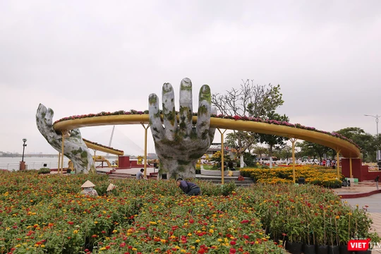 Đường hoa Xuân Kỷ Hợi 2019 tại phía tây Cầu Rồng (TP Đà Nẵng) có điểm nhấn là mô hình cây Cầu Vàng trên đỉnh Bà Nà
