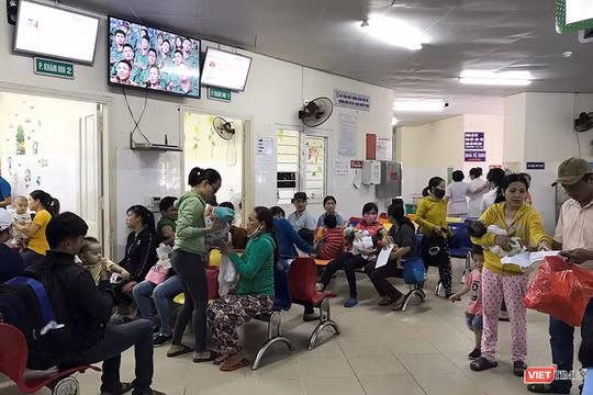 Đà Nẵng đang đối mặt với bệnh sốt xuất huyết bùng phát