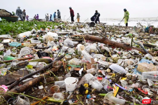 Hướng đến thành phố môi trường, phát triển bền vững, Đà Nẵng kêu gọi toàn TP chung tay hạn chế sử dụng chai nhựa, dụng cụ nhựa sử dụng 1 lần khó phân hủy