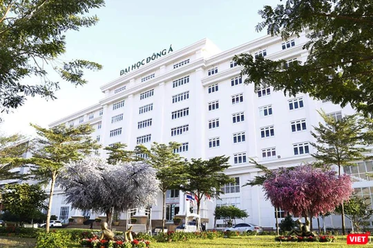 Bộ GD-ĐT vừa cho phép trường ĐH Đông Á (Đà Nẵng) tuyển sinh và đào tạo ngành Dược trình độ Đại học từ năm 2019 với chỉ tiêu 100 sinh viên trong năm đầu tiên. 