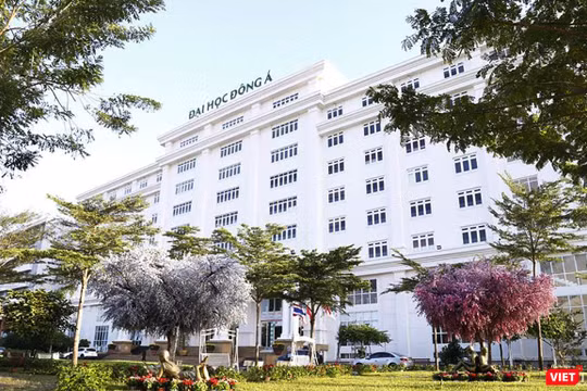 Bộ GD-ĐT vừa cho phép trường ĐH Đông Á (Đà Nẵng) tuyển sinh và đào tạo ngành Dược trình độ Đại học từ năm 2019 với chỉ tiêu 100 sinh viên trong năm đầu tiên. 