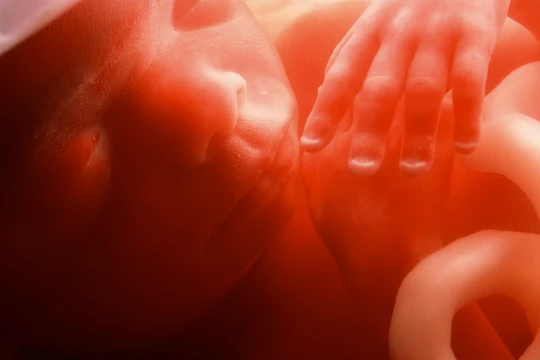 Ảnh minh họa: CNET