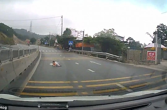 Khoảng khắc em bé bò trên cao tốc "gây sốc". Nguồn: DailyMail