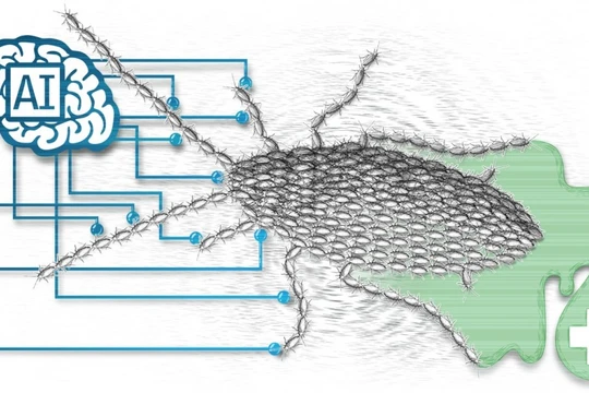 Tập đoàn Dược phẩm GoodDoctor đang sử dụng AI trong trang trại chăn nuôi gián khổng lồ tại Trung Quốc. Nguồn: SCMP
