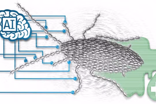 Tập đoàn Dược phẩm GoodDoctor đang sử dụng AI trong trang trại chăn nuôi gián khổng lồ tại Trung Quốc. Nguồn: SCMP