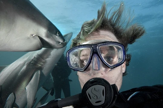 Ảnh minh họa: DailyMail