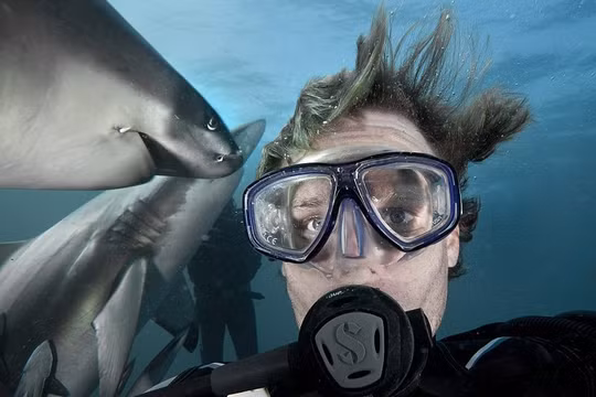 Ảnh minh họa: DailyMail