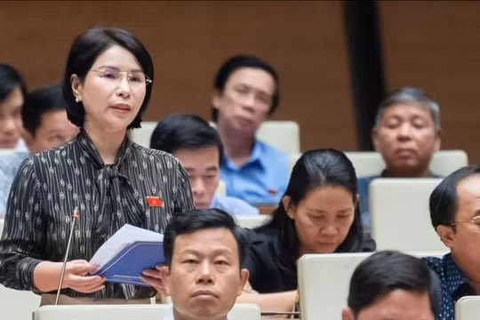 Đại biểu Trần Thị Nhị Hà nêu thực trạng về quy định suất vốn đầu tư công trình y tế.