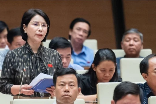 Đại biểu Trần Thị Nhị Hà nêu thực trạng về quy định suất vốn đầu tư công trình y tế.