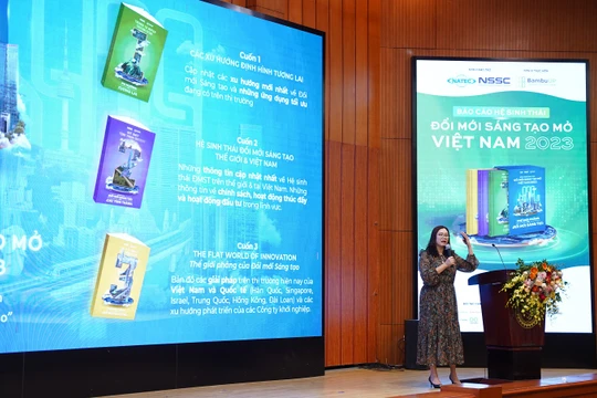 Bà Nguyễn Hương Quỳnh - CEO của Nền tảng kết nối Đổi mới sáng tạo BambuUP trình bày về Dự án.