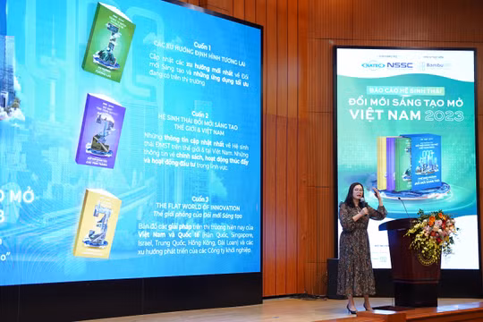 Bà Nguyễn Hương Quỳnh - CEO của Nền tảng kết nối Đổi mới sáng tạo BambuUP trình bày về Dự án.