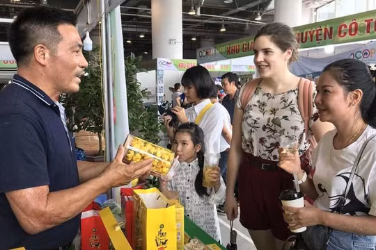 Sản phẩm trà hoa vàng được người tiêu dùng nước ngoài ưa chuộng.