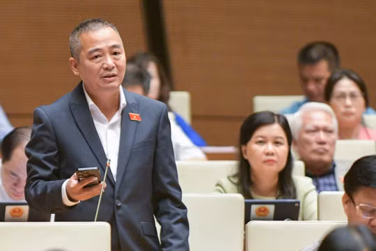 Đại biểu Nguyễn Lân Hiếu phát biểu tại hội trường Quốc hội sáng 30/10.