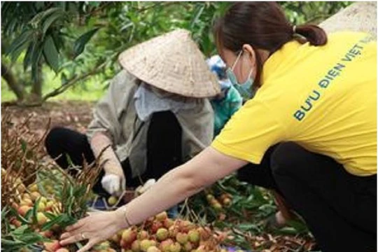 ảnh minh họa. Nguồn Vietnam Post