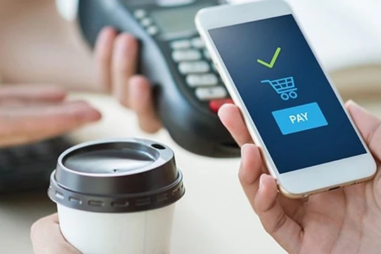 Ảnh minh họa. Nguồn-vinid.net