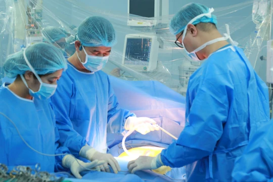 Từ ca hiến tạng của một kiều bào, nhiều bệnh nhân may mắn đổi đời