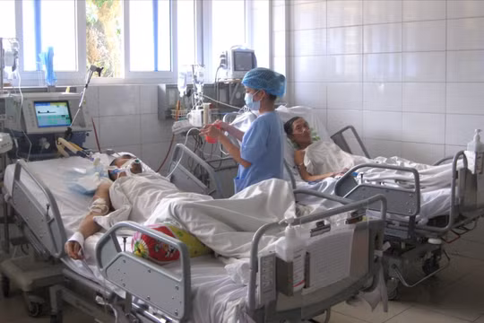 Ca mắc cúm A(H5N1) đầu tiên tử vong, Bộ Y tế lo ngại nguy cơ lây cúm gia cầm sang người