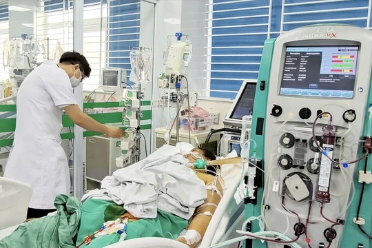 Coi chừng xoắn khuẩn - mầm bệnh ẩn trong nước lũ