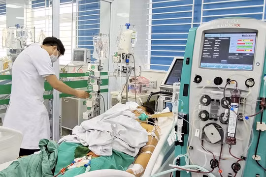 Coi chừng xoắn khuẩn - mầm bệnh ẩn trong nước lũ