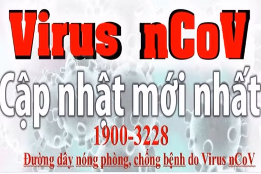 Đường dây nóng của Bộ Y tế tư vấn, giải đáp các thông tin về dịch Corona